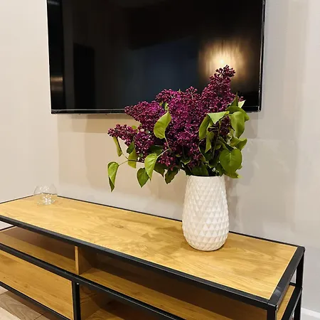 Loft Near Opera House לבוב